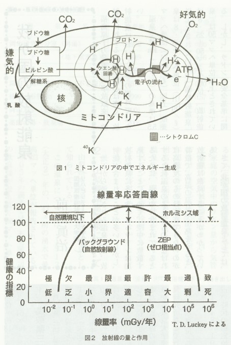 15p図1図2